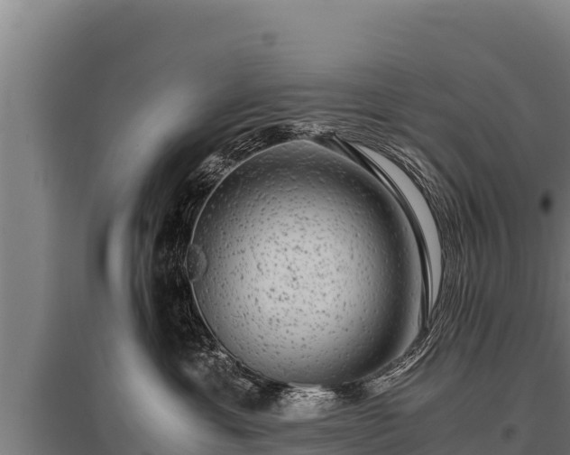 X0000095950429200801181426