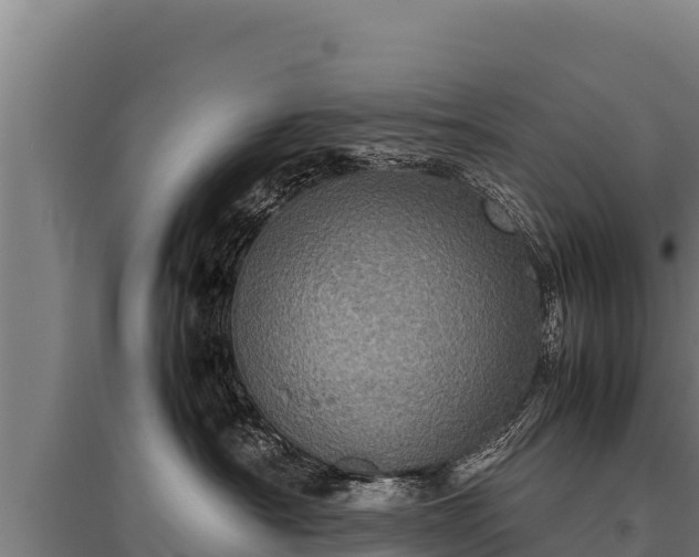 X0000095950430200801181426