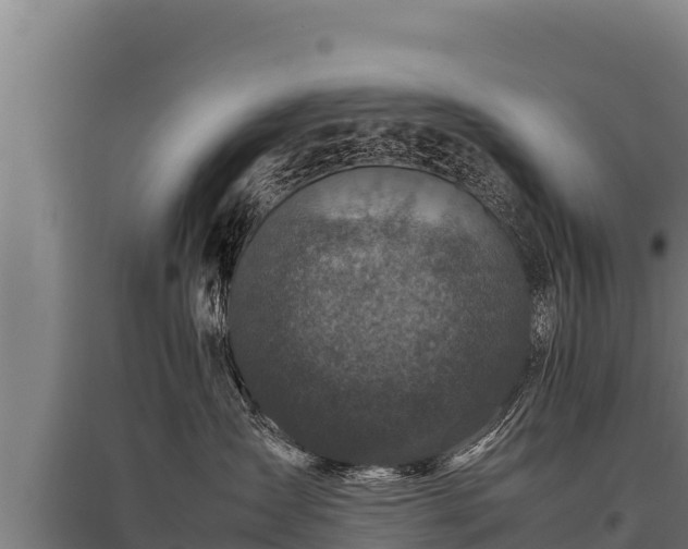 X0000095950431200801181426