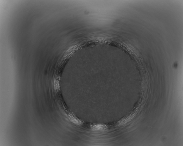 X0000095950432200801181426