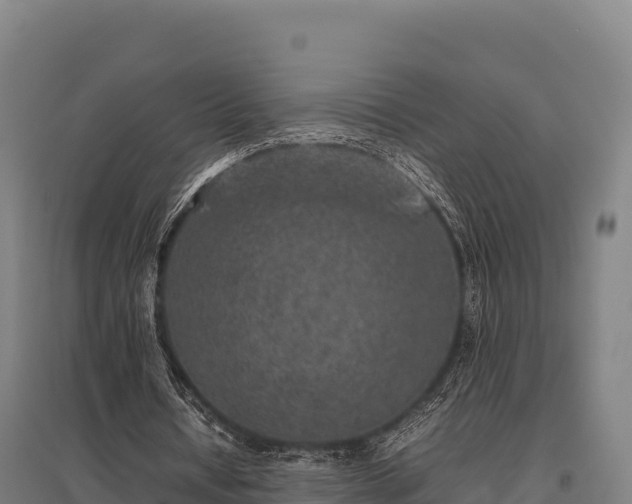 X0000095950434200801181426