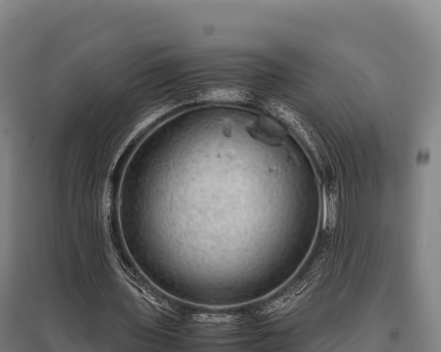 X0000095950435200801181426