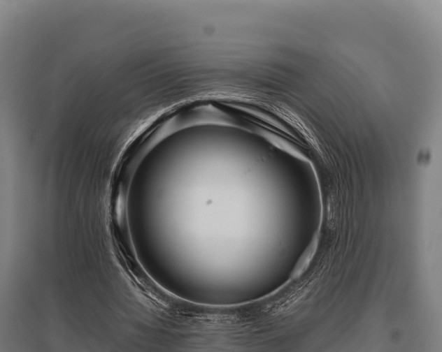 X0000095950436200801181426