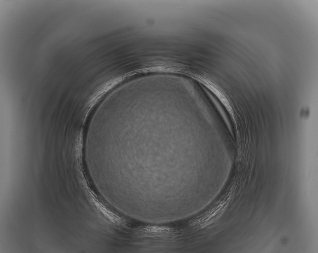 X0000095950437200801181426