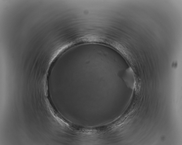 X0000095950438200801181426