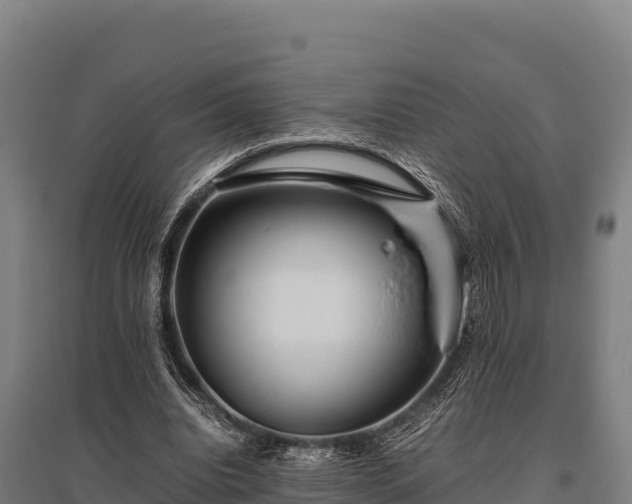 X0000095950440200801181426