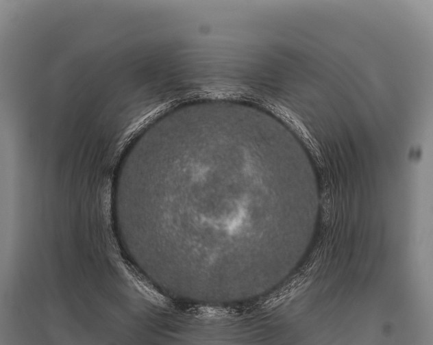 X0000095950442200801181426