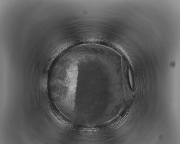 X0000095950443200801181426