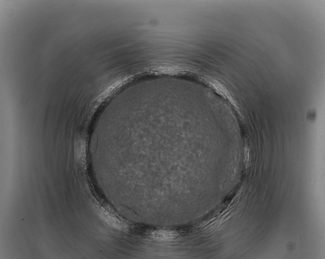 X0000095950444200801181426