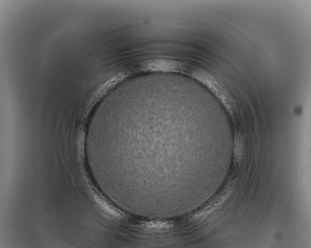 X0000095950445200801181426