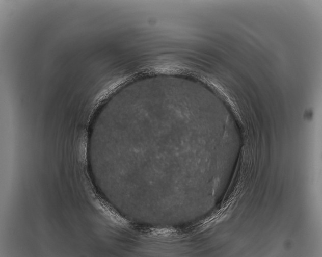 X0000095950446200801181426