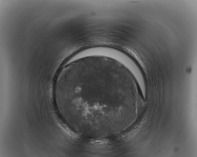 X0000095950447200801181426