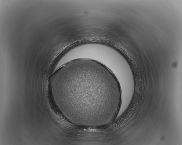 X0000095950448200801181426