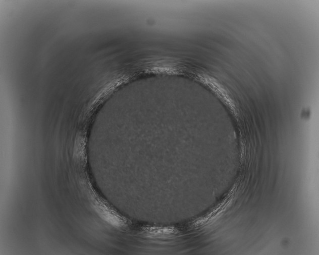 X0000095950449200801181426