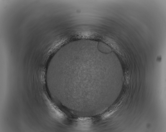 X0000095950450200801181426