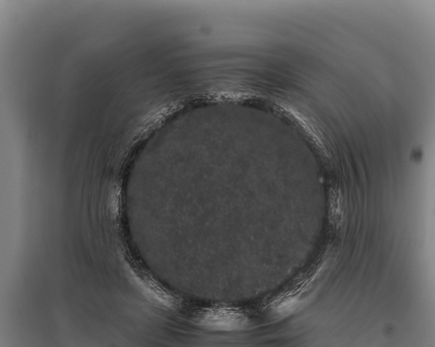 X0000095950451200801181426