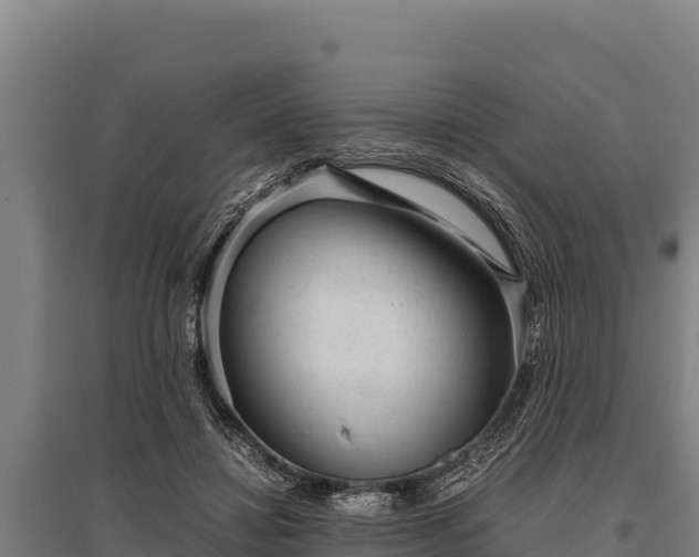 X0000095950452200801181426