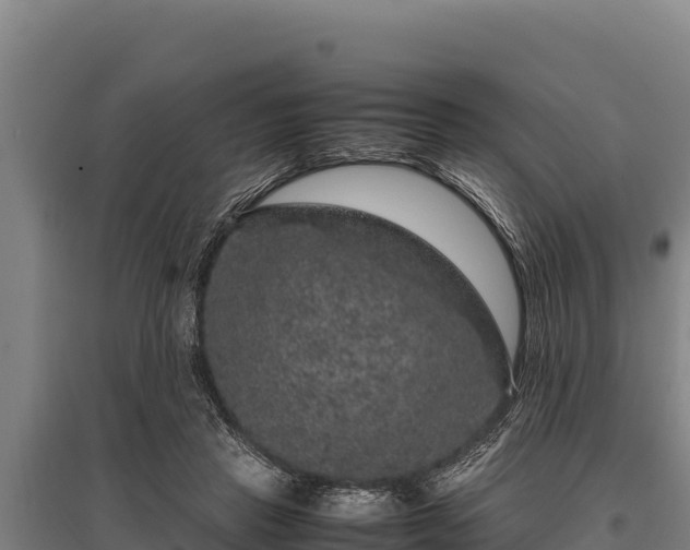 X0000095950453200801181426