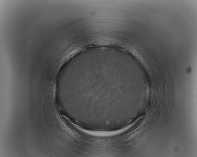 X0000095950454200801181426