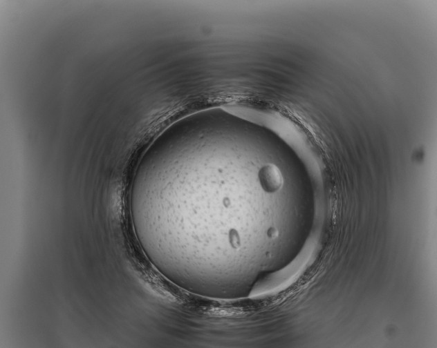 X0000095950455200801181426