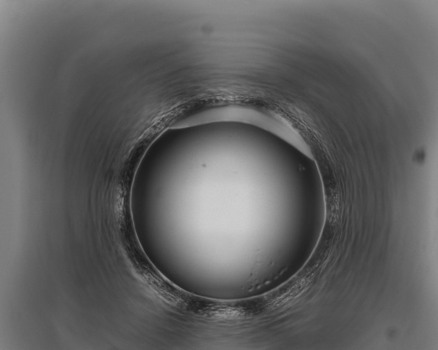 X0000095950456200801181426