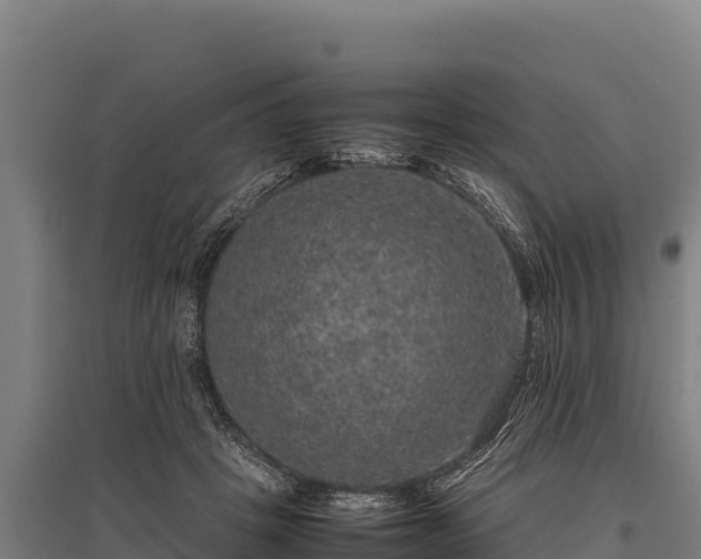 X0000095950457200801181426