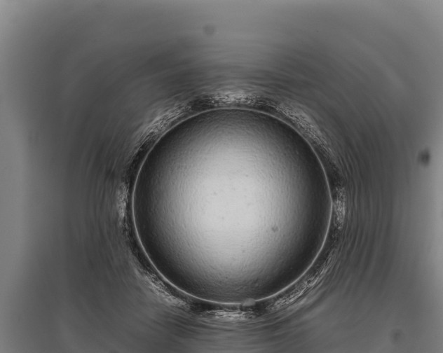 X0000095950458200801181426