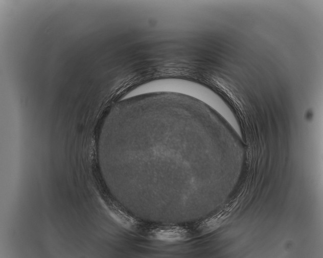 X0000095950459200801181426