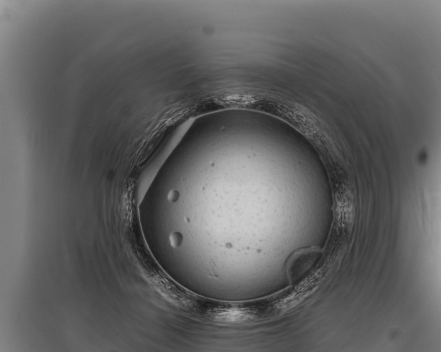 X0000095950460200801181426