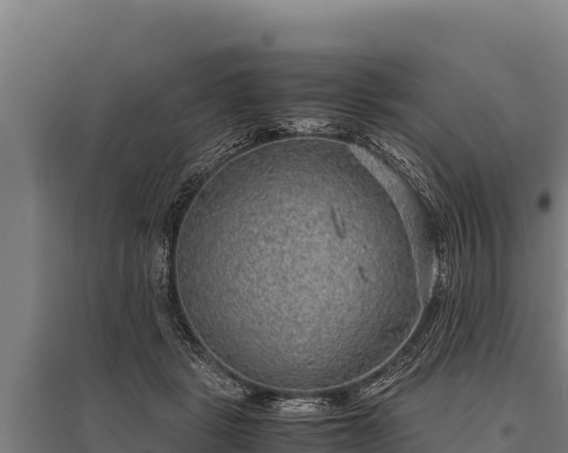 X0000095950461200801181426