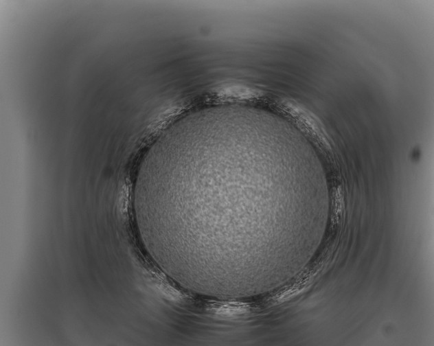 X0000095950463200801181426