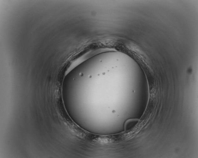 X0000095950464200801181426