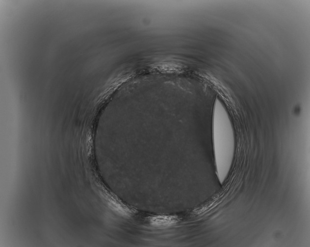 X0000095950465200801181426