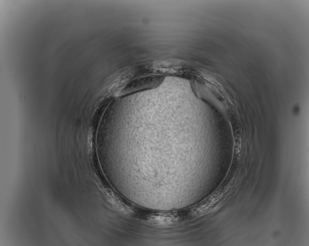 X0000095950466200801181426