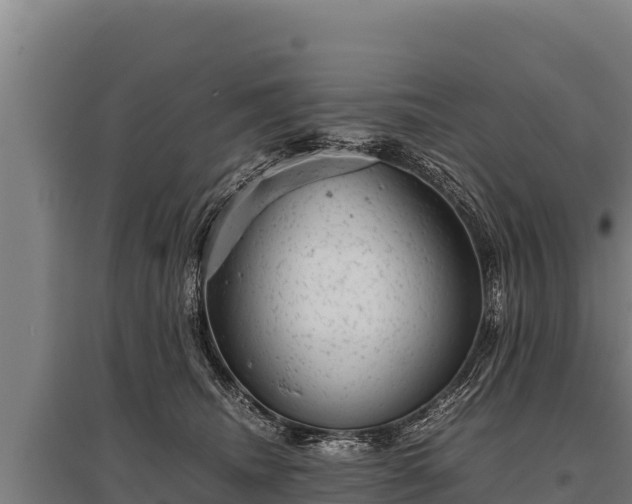 X0000095950468200801181426