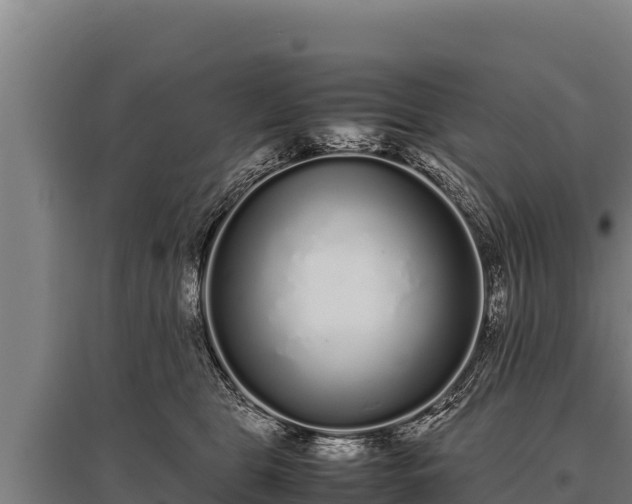 X0000095950469200801181426