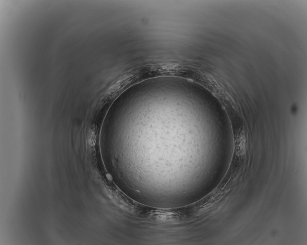 X0000095950472200801181426