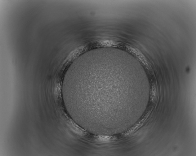 X0000095950473200801181426