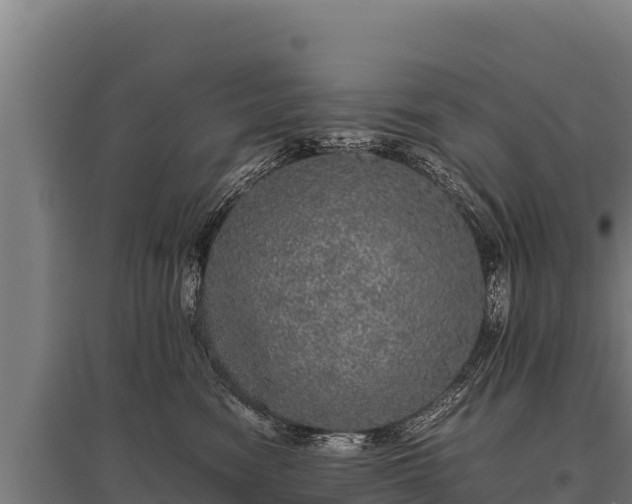 X0000095950474200801181426