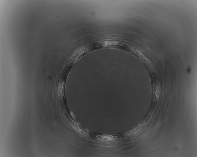 X0000095950475200801181426