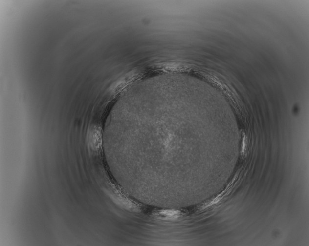 X0000095950478200801181426