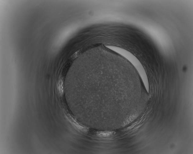 X0000095950479200801181426