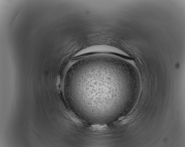 X0000095950480200801181426