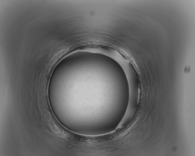 X0000095950481200801181426