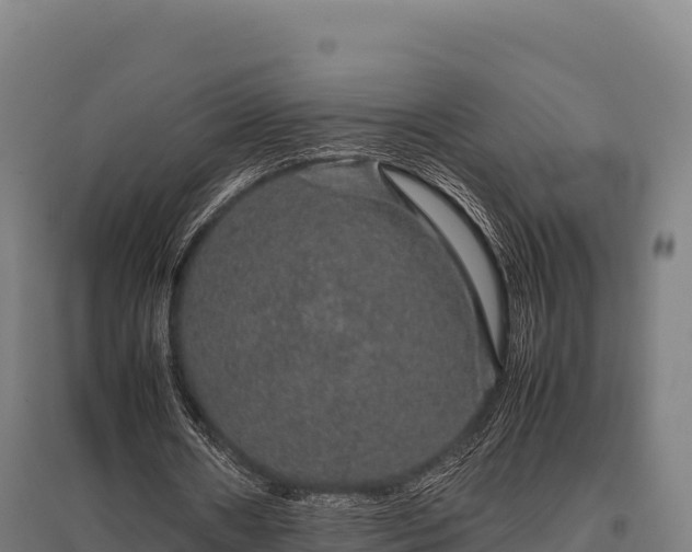 X0000095950482200801181426