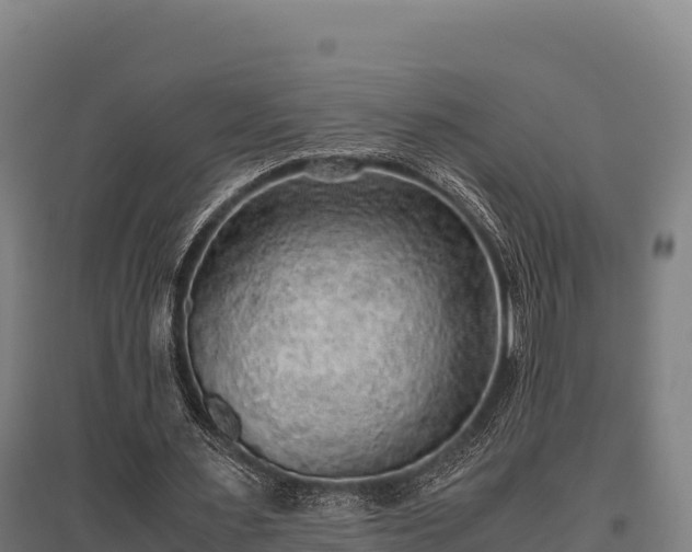 X0000095950483200801181426