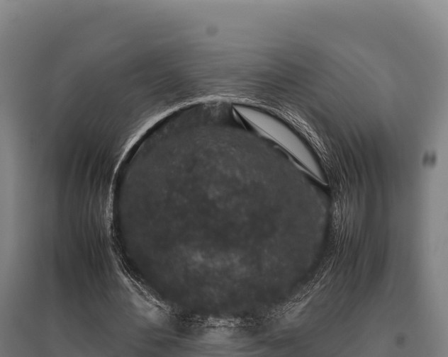 X0000095950484200801181426