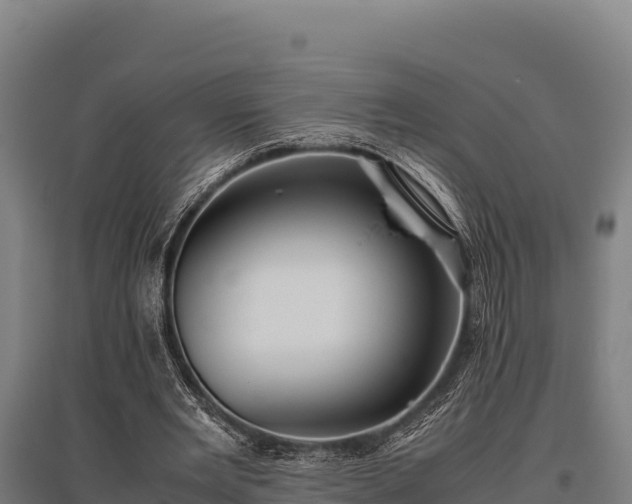 X0000095950485200801181426