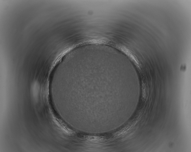 X0000095950486200801181426