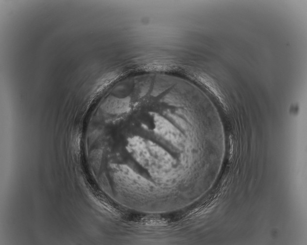 X0000095950491200801181425